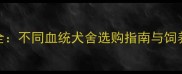 边牧价格全不同血统犬舍选购指南与饲养成本清单