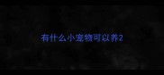 有什么小宠物可以养