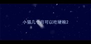 小猫几个月可以吃硬粮