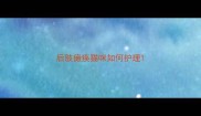 后肢瘫痪猫咪如何护理