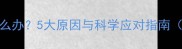狗狗吐黄沫怎么办5大原因与科学应对指南附急救步骤