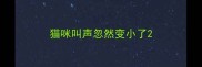 猫咪叫声忽然变小了