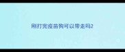 刚打完疫苗狗可以带走吗