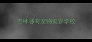 吉林哪有宠物美容学校
