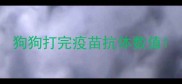 狗狗打完疫苗抗体数值
