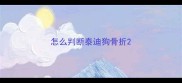 怎么判断泰迪狗骨折