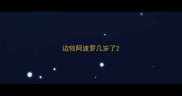 边牧阿波罗几岁了