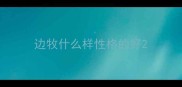 边牧什么样性格的好