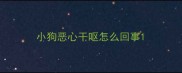 小狗恶心干呕怎么回事
