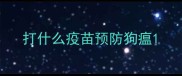 打什么疫苗预防狗瘟