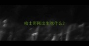 哈士奇刚出生吃什么