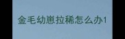 金毛幼崽拉稀怎么办