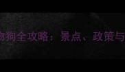 上海周边带宠物狗全攻略景点政策与必备物品清单