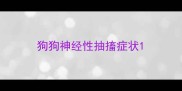 狗狗神经性抽搐症状
