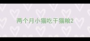 两个月小猫吃干猫粮