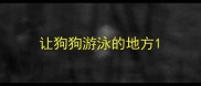 让狗狗游泳的地方