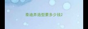 泰迪弄造型要多少钱