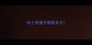 哈士奇磨牙期是多大