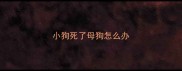 小狗死了母狗怎么办