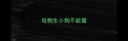 母狗生小狗不能看