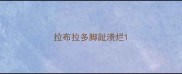 拉布拉多脚趾溃烂