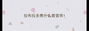 拉布拉多煮什么最营养