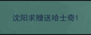沈阳求赠送哈士奇