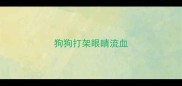 狗狗打架眼睛流血
