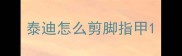 泰迪怎么剪脚指甲