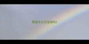狸猫可以当宠物吗
