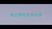 哈士奇吃东西太快