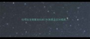 拉布拉多频繁发抖的7大原因及应对措施1