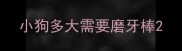 小狗多大需要磨牙棒