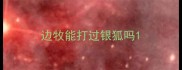 边牧能打过银狐吗
