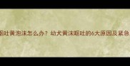 狗狗早上呕吐黄泡沫怎么办幼犬黄沫呕吐的6大原因及紧急处理指南