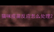 猫咪疫苗反应怎么处理