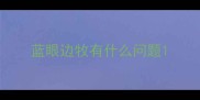蓝眼边牧有什么问题