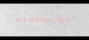 两个月的狗狗一直叫