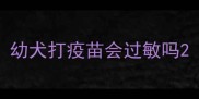 幼犬打疫苗会过敏吗