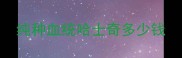 纯种血统哈士奇多少钱