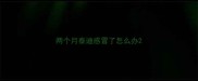 两个月泰迪感冒了怎么办