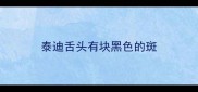 泰迪舌头有块黑色的斑