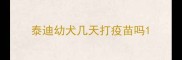 泰迪幼犬几天打疫苗吗