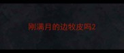 刚满月的边牧皮吗