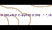 金毛幼犬最佳购买年龄与科学饲养全攻略3-6月龄黄金期