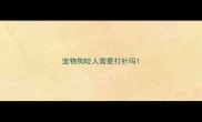 宠物狗咬人需要打针吗