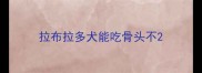 拉布拉多犬能吃骨头不