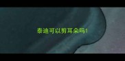 泰迪可以剪耳朵吗