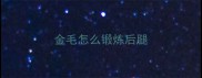 金毛怎么锻炼后腿