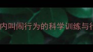 边境牧羊犬笼内叫闹行为的科学训练与行为矫正指南